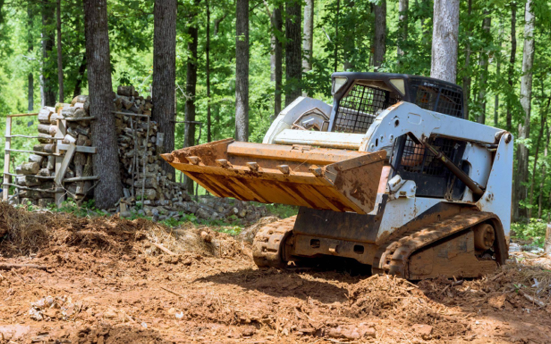 Seekor Skid steer bekerja di hutan.