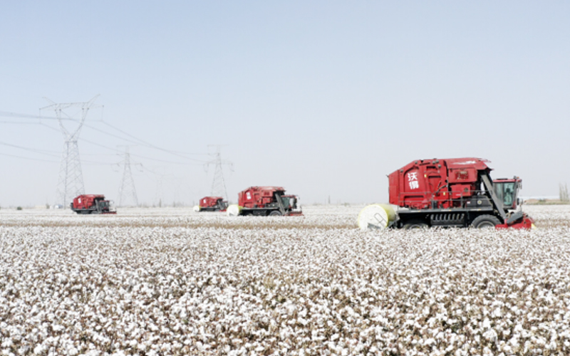  Empat pemanen kapas merah dengan merek Cina 'FMWorld' sedang bekerja di ladang kapas dengan bal-bal bundar besar berisi kapas yang dipanen.