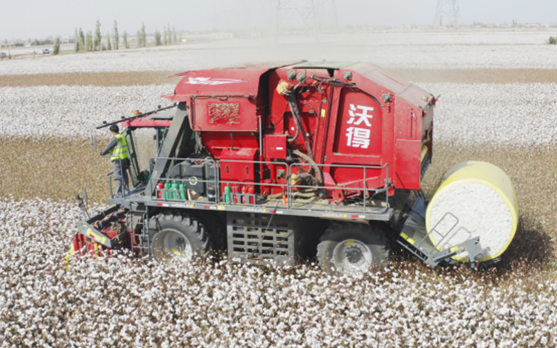 Pemanen kapas merah dengan merek Cina 'FMWorld' sedang bekerja di ladang kapas dengan bale bundar besar berisi kapas yang dipanen.