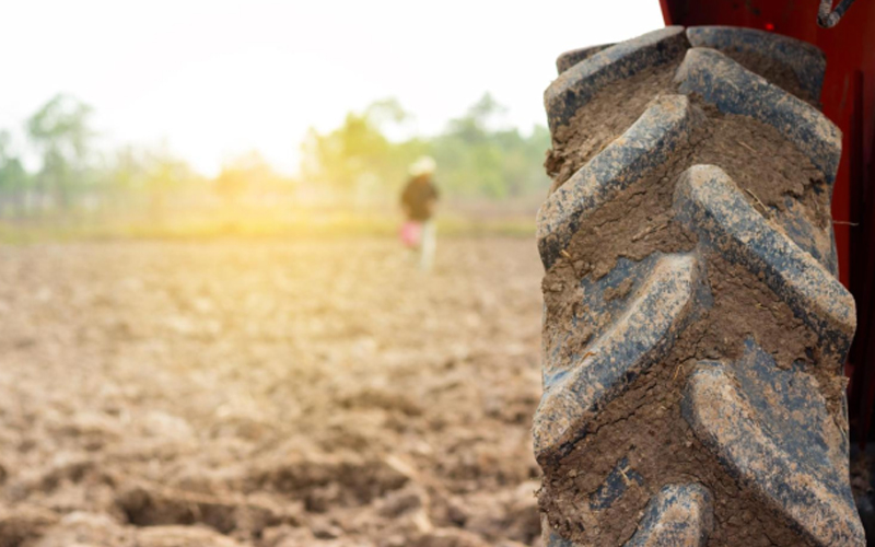 Traktor berlumpur dengan ban besar membajak ladang subur, menyiapkan tanah untuk ditanami.