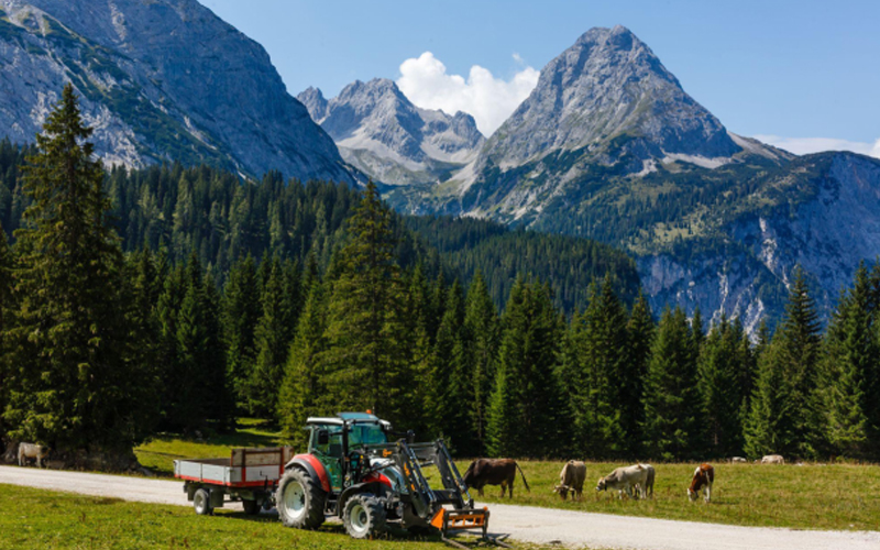 Memanen tanaman dengan traktor merah di ladang pegunungan hijau alpine Austria.